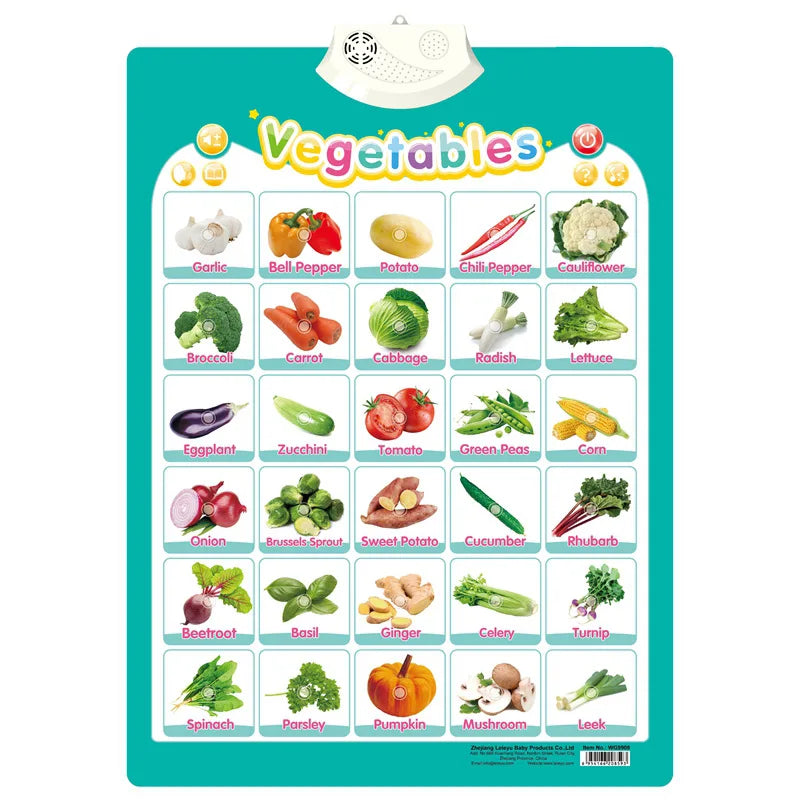 Electronic English Alphabet Wall Chart Talking ABC Letters