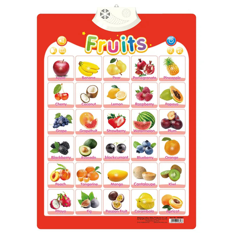 Electronic English Alphabet Wall Chart Talking ABC Letters