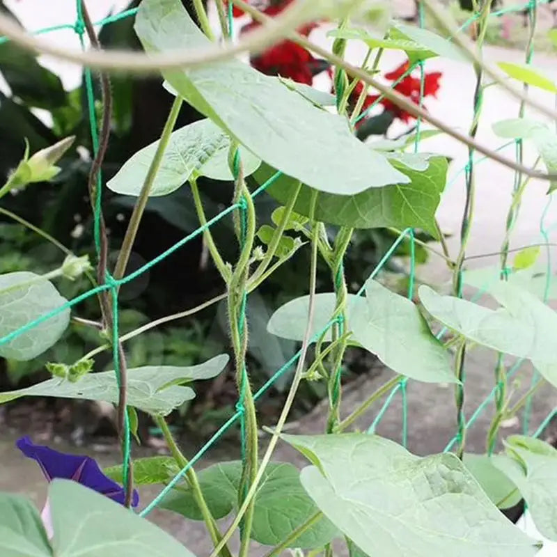 Trellis Netting Durable Garden for Climbing Plants
