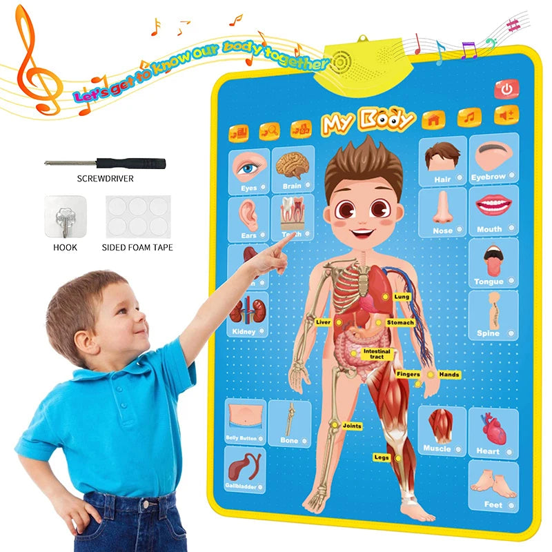 Electronic English Alphabet Wall Chart Talking ABC Letters