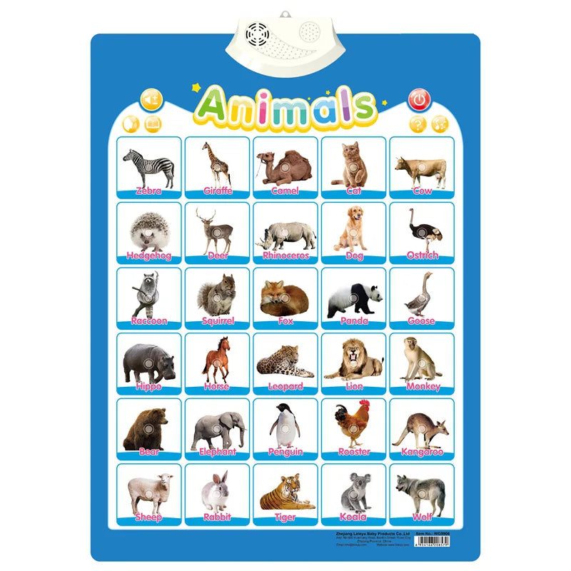 Electronic English Alphabet Wall Chart Talking ABC Letters