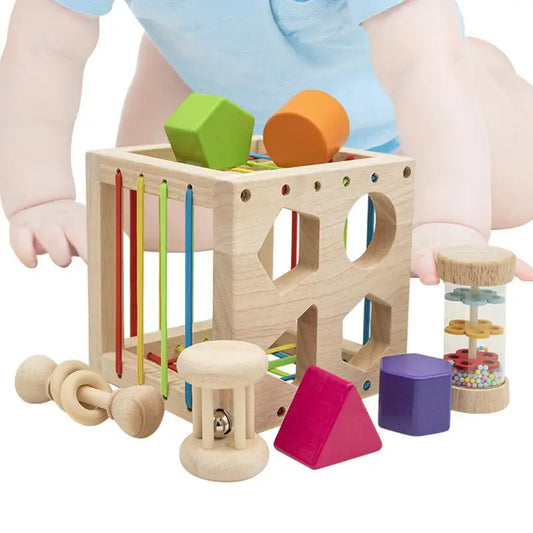 Sensory Fine Motor Toy Shape Sorting Matching Toddler