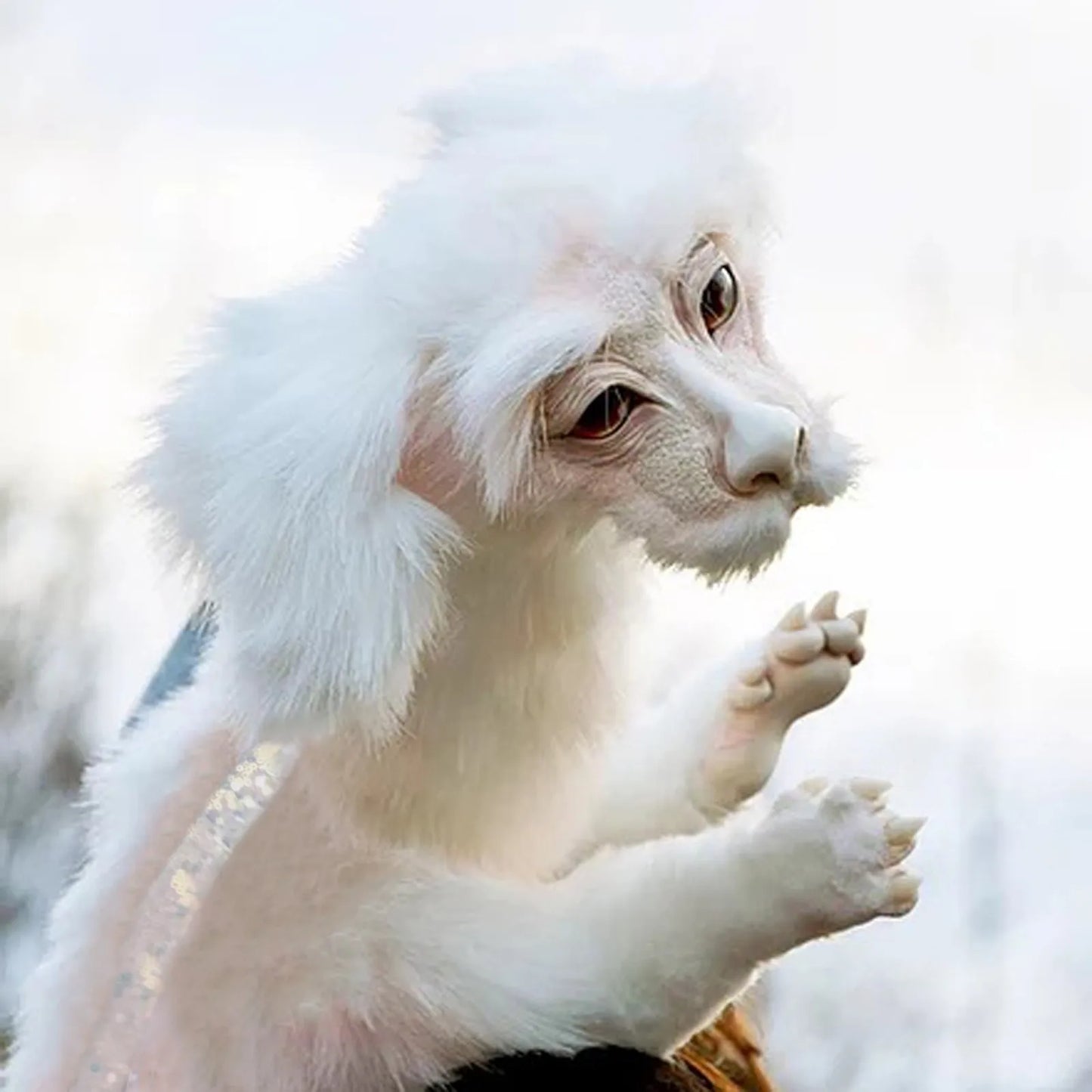 Falkor Dragon Plush Doll Falkor From The Neverending Story