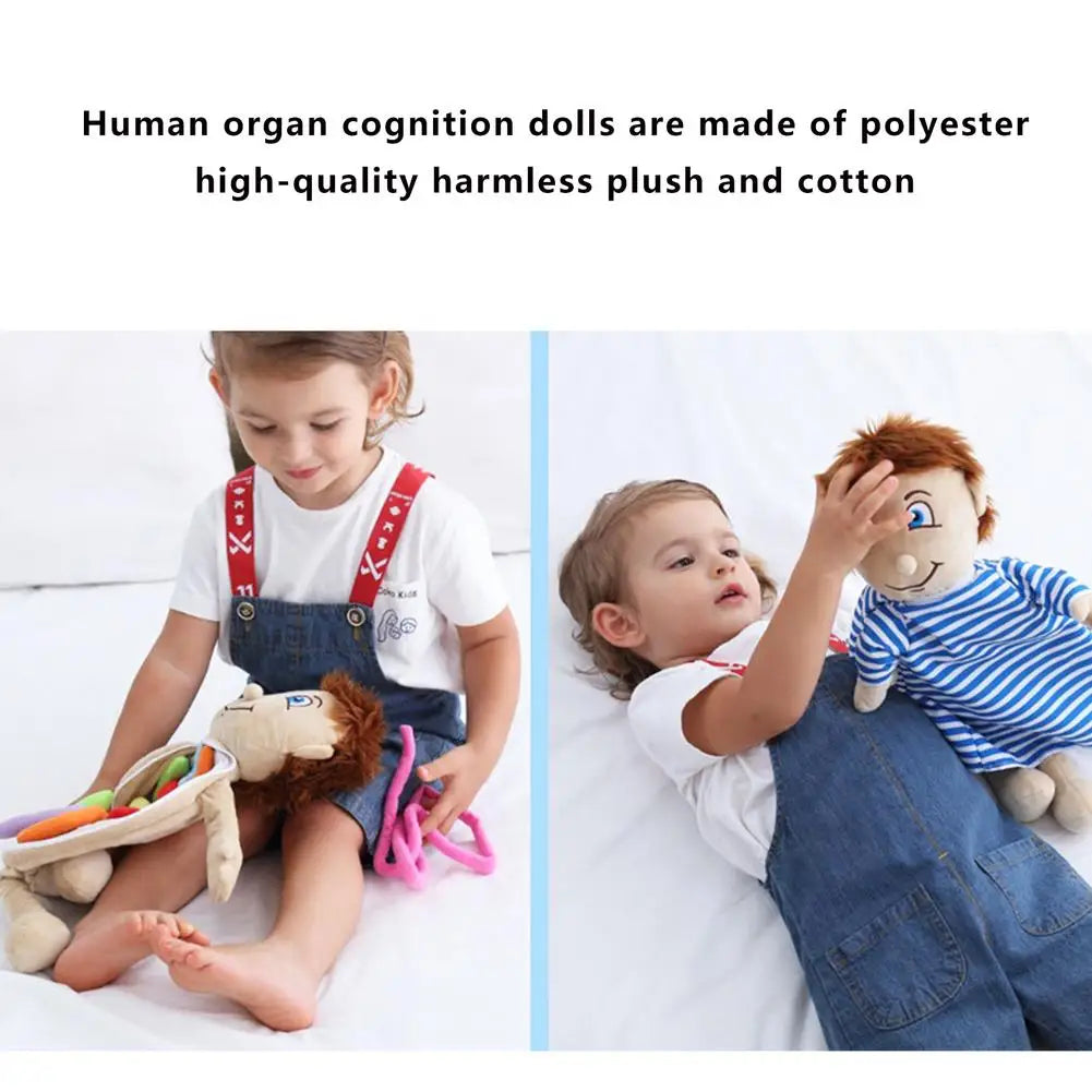 Human Body Model Anatomy Doll Soft Doll Toy