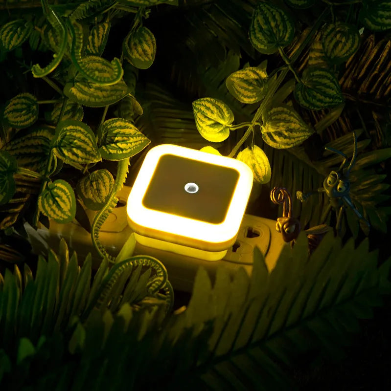 Wireless LED Night Light Sensor Lighting Mini EU/US Plug Night Lights