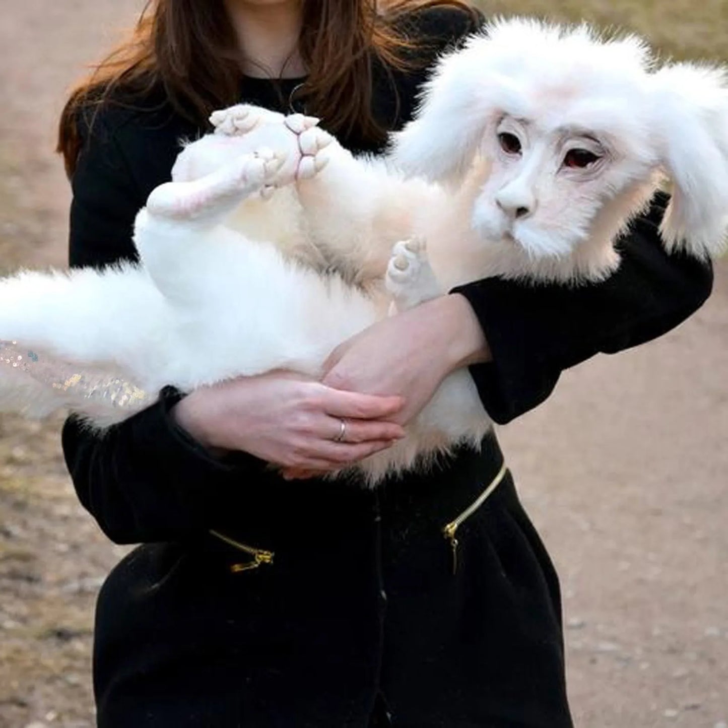 Falkor Dragon Plush Doll Falkor From The Neverending Story