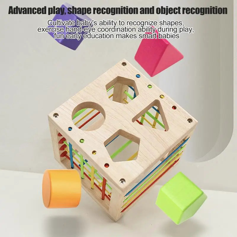 Sensory Fine Motor Toy Shape Sorting Matching Toddler