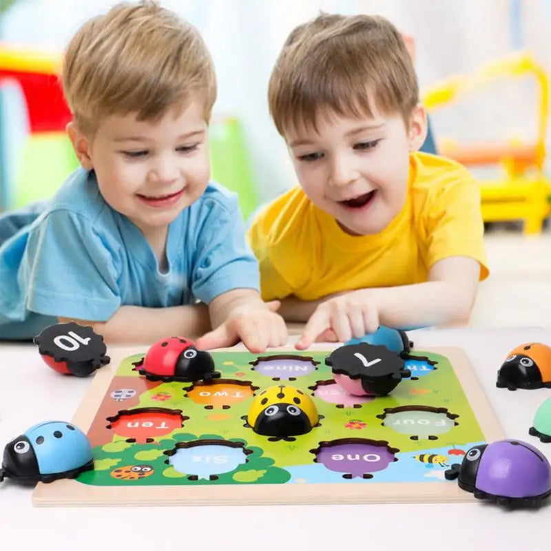 Number Matching Game 1-10 Number Counting Ladybugs
